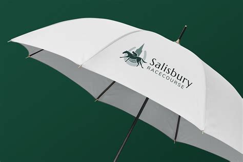 salisbury logo|vintage logo designer.